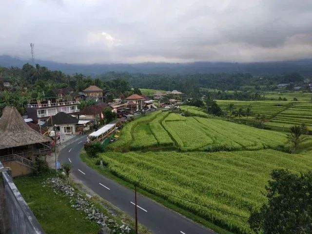 Jatiluwih