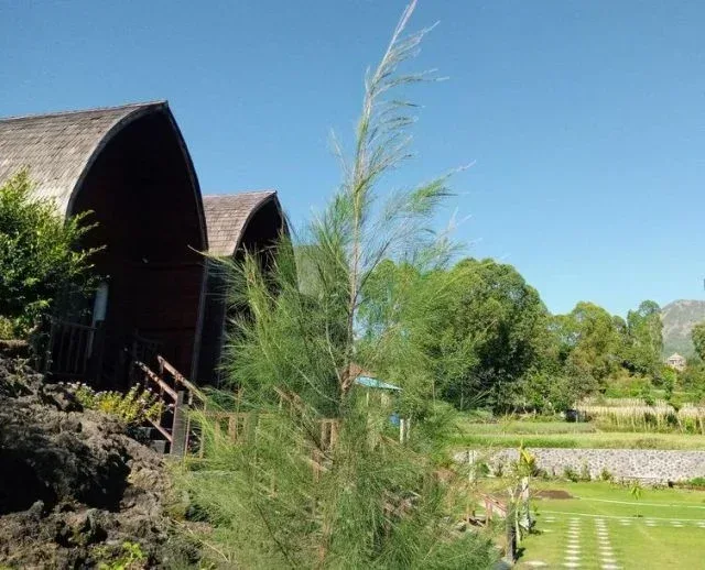 Lake Batur Cottage