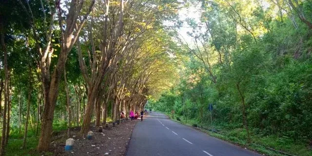 Rute Bendungan Wonorejo