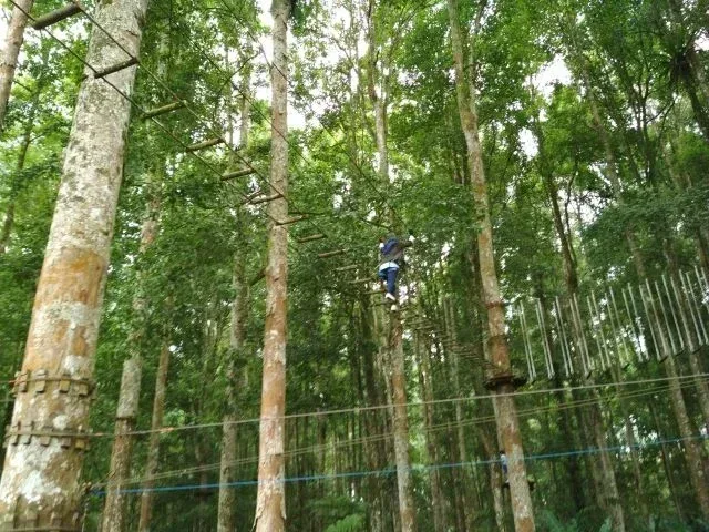 Taman Wisata Bali Treetop
