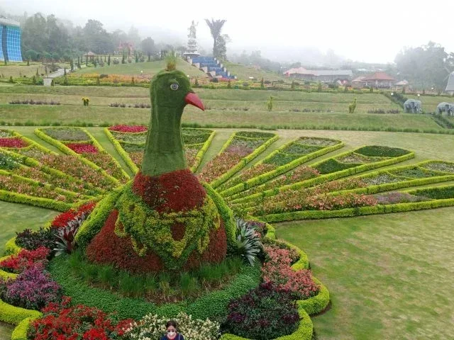 The Blooms Garden