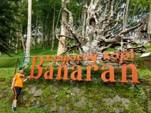 kampung kopi banaran