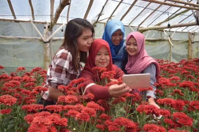 kebun bunga pak yoto