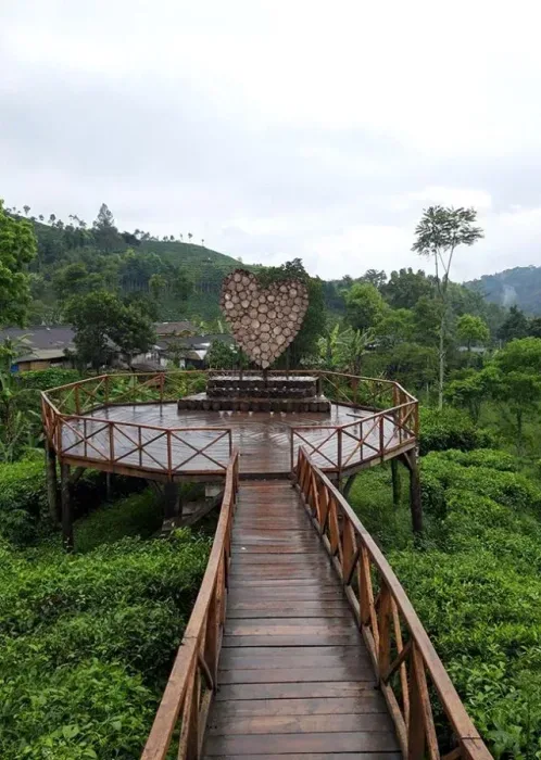 kebun teh sirah kencong blitar