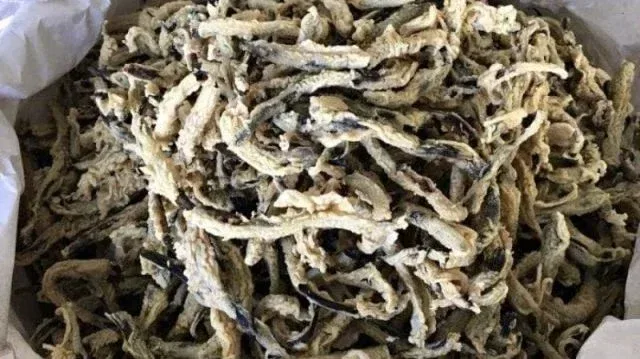 keripik belut, makanan khas klaten