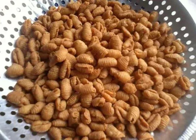 kue khas bengkulu kue siput