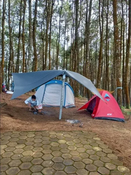 bukit bintang bandung camping
