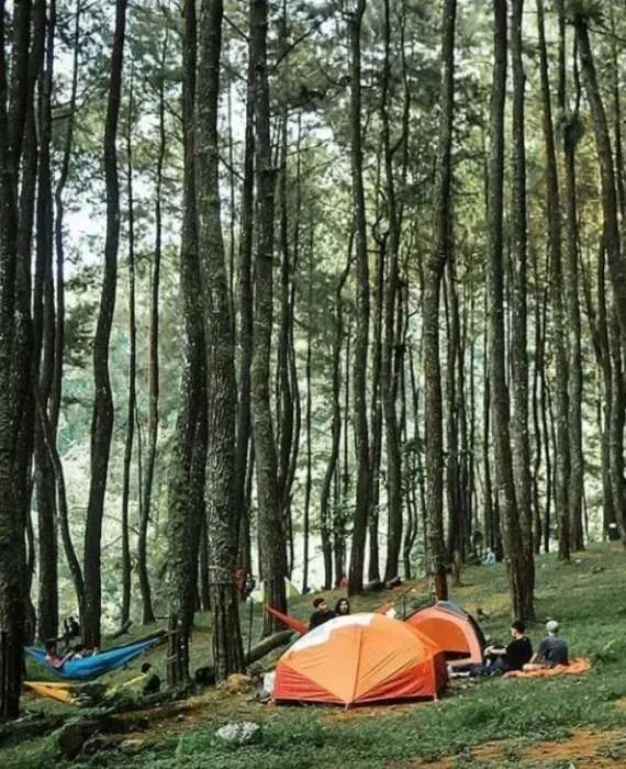 gunung pancar