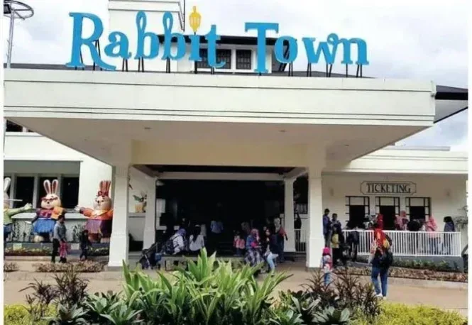 rabbit town