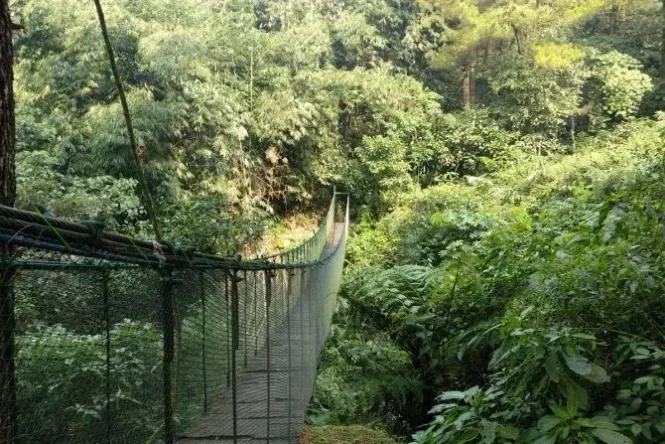 suaka elang loji