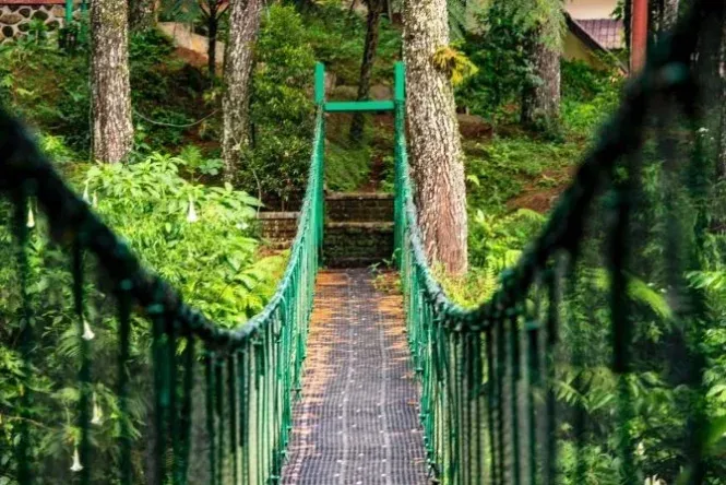 tempat wisata bogor