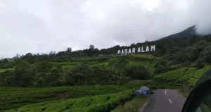 2019 06 25