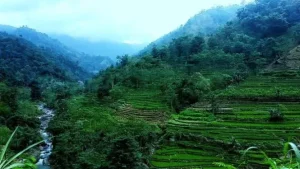 Tempat Wisata Kudus