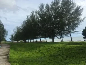2019 06 27