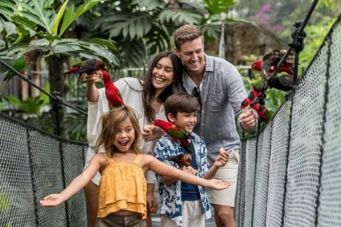 bali bird & reptile park