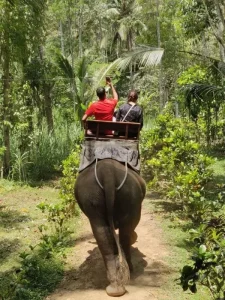 bali elephant safari park