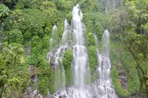 dsc 0465