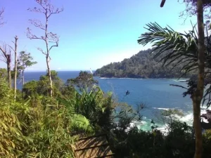 teluk hijau