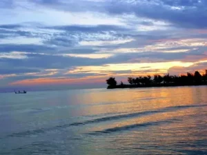 pantai cemara tuban jatim