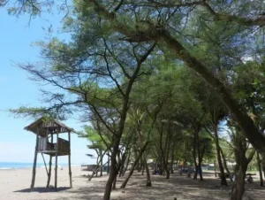 pantai petanahan kebumen