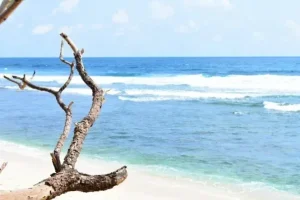 pantai ngalur tulungagung