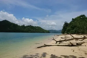 pantai sendang biru malang by sucahyo hari purnomo 2020 11 14