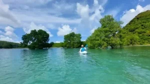 pulau bawean gresik