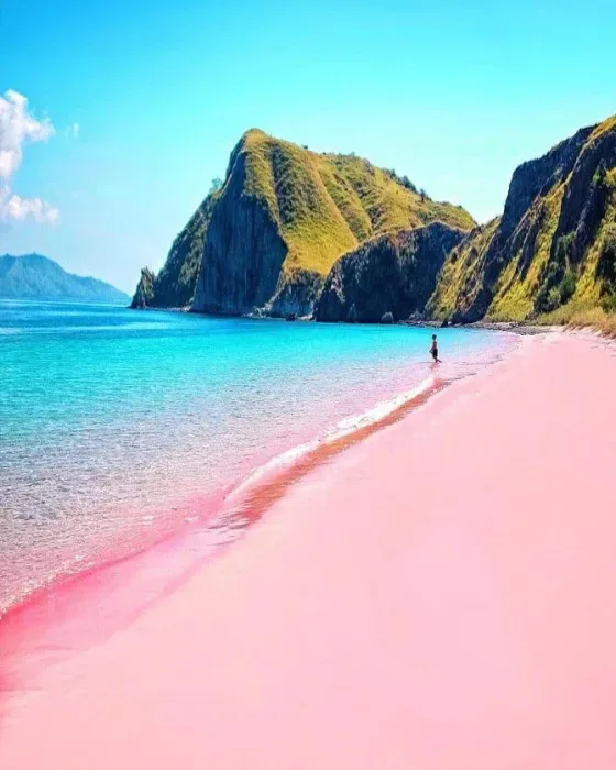 pink beach by aji adinegoro 2020 10 01