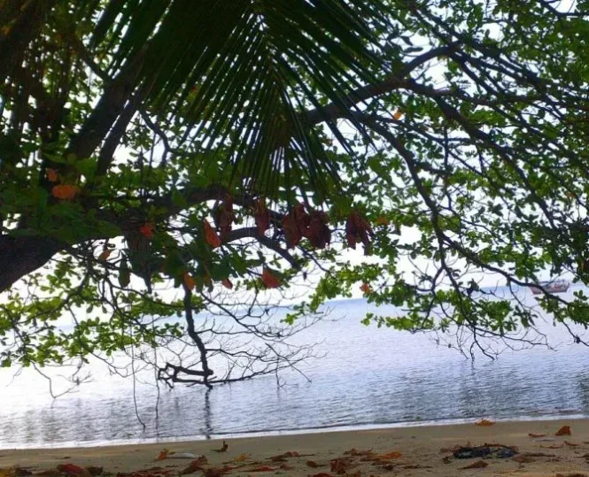 pulau biawak indramayu