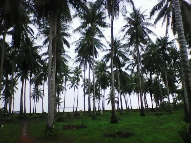 pulau geleang karimunjawa by ichwanul muslimin photo0127