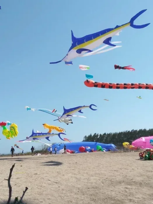 pantai mertasari bali by made madra
