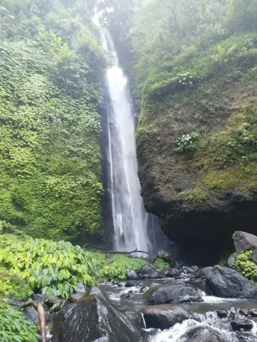 air terjun sekumpul by erika rahma