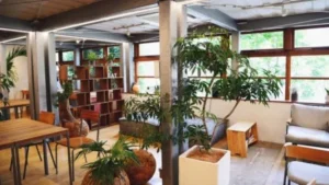 6 restoran di tabanan