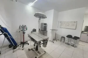 dokter hewan semarang