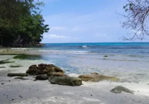 pulau banggai