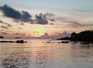 pulau laut