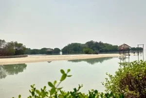 pulau pari