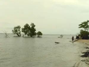 pulau rempang