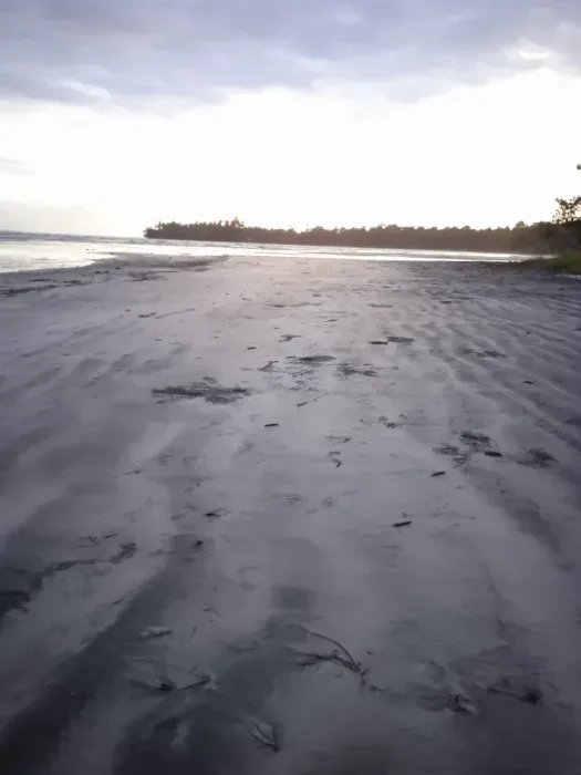 pulau salawati 2