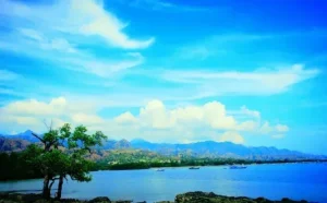 pulau timor