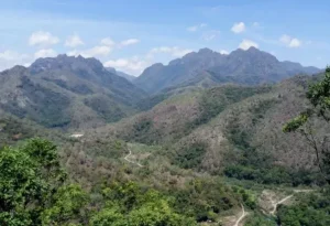 pulau wetar