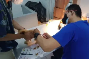 dokter hewan balikpapan