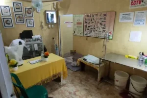 dokter hewan mojokerto