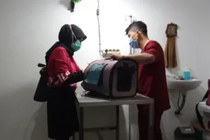 dokter hewan salatiga