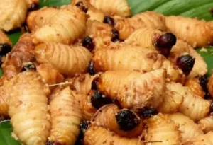 makanan khas papua.jpg