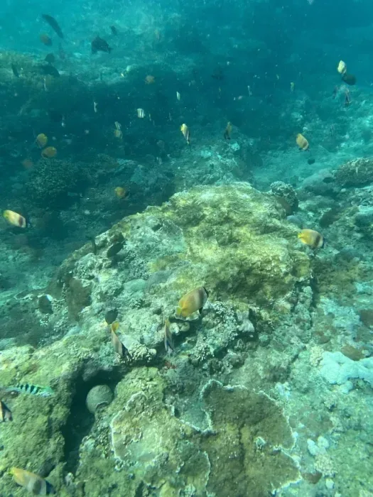 nusa lembongan 4