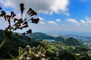 pulau bawean