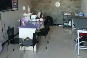 dokter tht lumajang