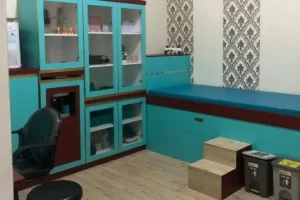 dokter tht wonogiri
