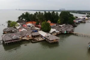 pulau cangkir